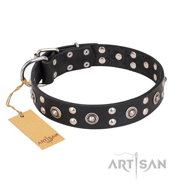 Handy use incredible dog collar with reliable buckle