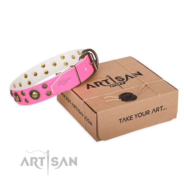 Walking dog collar of strong genuine leather with studs