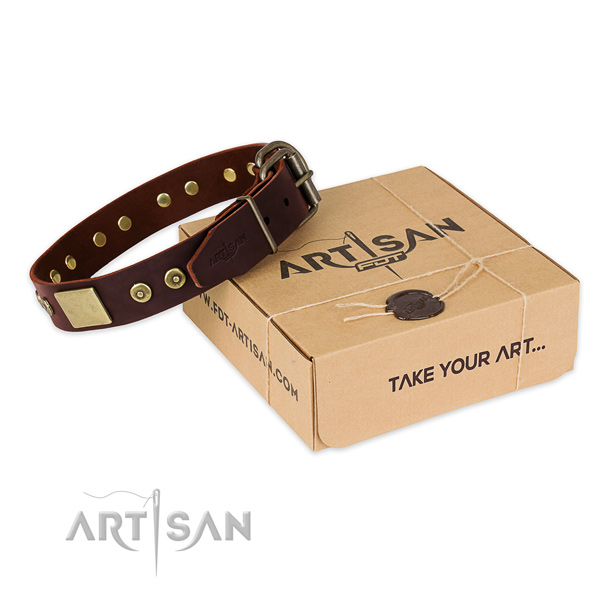 Corrosion resistant traditional buckle on dog collar for easy wearing
