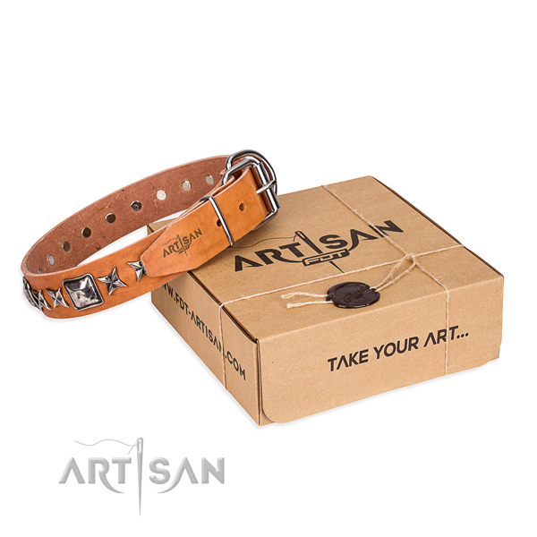 Stylish walking leather dog collar with decorations