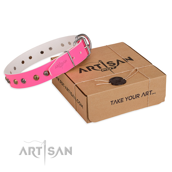 Fancy walking dog collar with Incredible rust-proof decorations