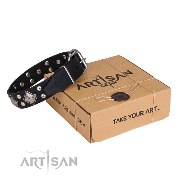Fancy walking dog collar with Incredible rust-proof decorations