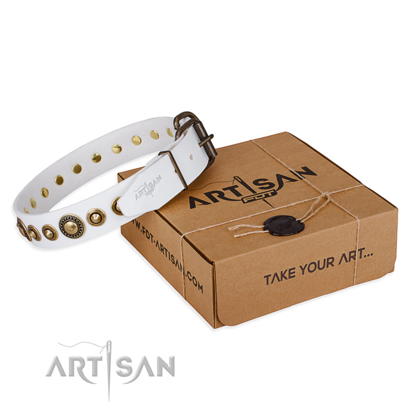 Top rate leather dog collar crafted for walking
