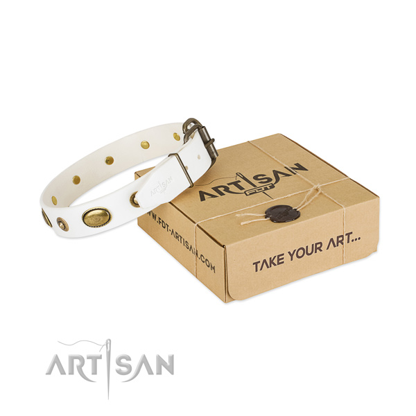 Comfortable natural leather collar for your impressive four-legged friend