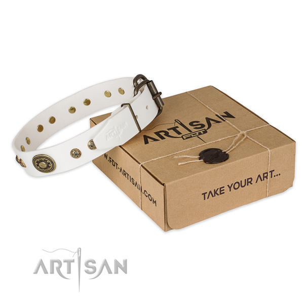 Corrosion proof traditional buckle on genuine leather dog collar for daily use