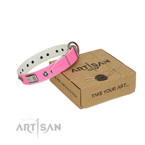 Remarkable dog collar of full grain natural leather with studs