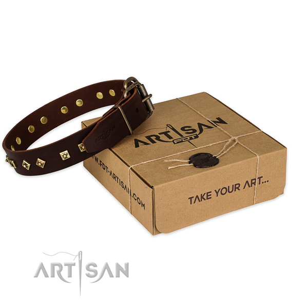 Rust-proof buckle on genuine leather dog collar for walking