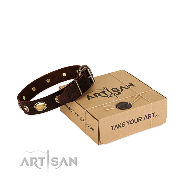 Strong embellishments on full grain genuine leather dog collar for your four-legged friend