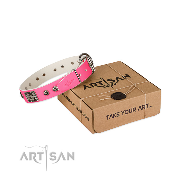 Corrosion resistant adornments on dog collar for basic training