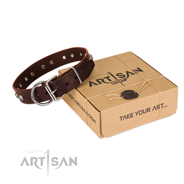 Corrosion resistant traditional buckle on dog collar for stylish walking