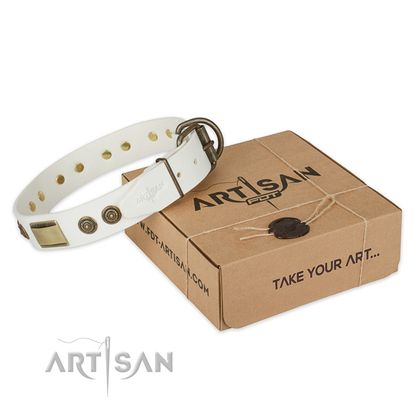 Durable D-ring on natural genuine leather dog collar for fancy walking