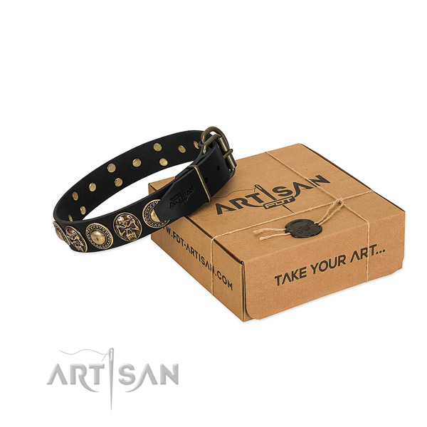Rust-proof hardware on dog collar for everyday use