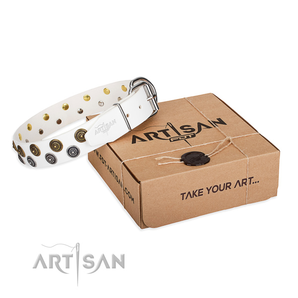 Stylish walking dog collar of top notch full grain natural leather with studs