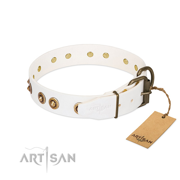 Reliable adornments on full grain genuine leather dog collar for your canine