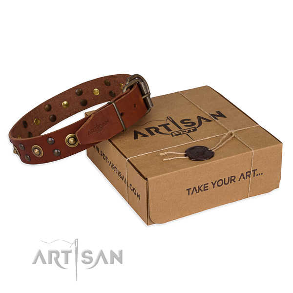 Durable D-ring on full grain natural leather collar for your beautiful doggie