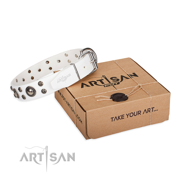Everyday use dog collar of high quality leather with embellishments
