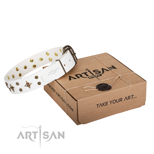 Stylish walking dog collar of durable full grain genuine leather with studs