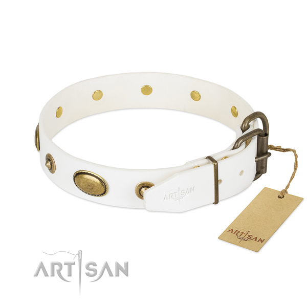 Strong buckle on genuine leather dog collar for your dog