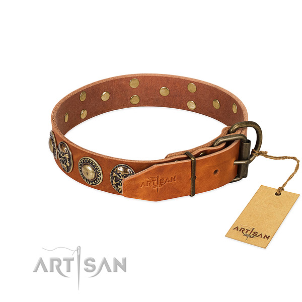 Reliable decorations on everyday use dog collar