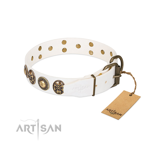 Rust resistant D-ring on basic training dog collar