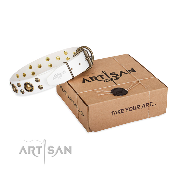 Stylish walking dog collar of high quality full grain genuine leather with adornments