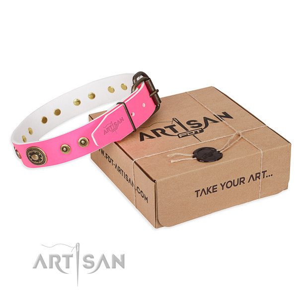Full grain natural leather dog collar made of high quality material with corrosion resistant D-ring