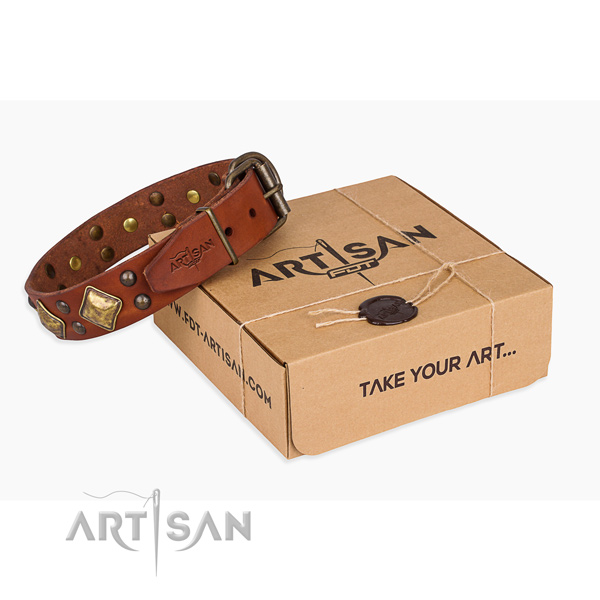 Comfy wearing dog collar with Exquisite corrosion proof embellishments