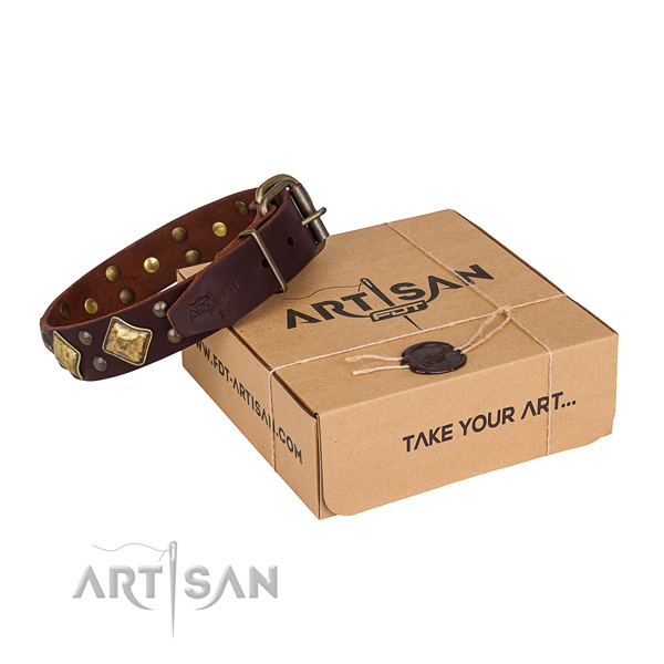 Walking dog collar with Remarkable corrosion proof adornments