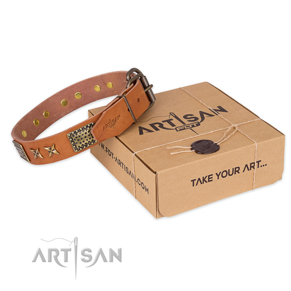Corrosion resistant buckle on leather collar for your impressive four-legged friend
