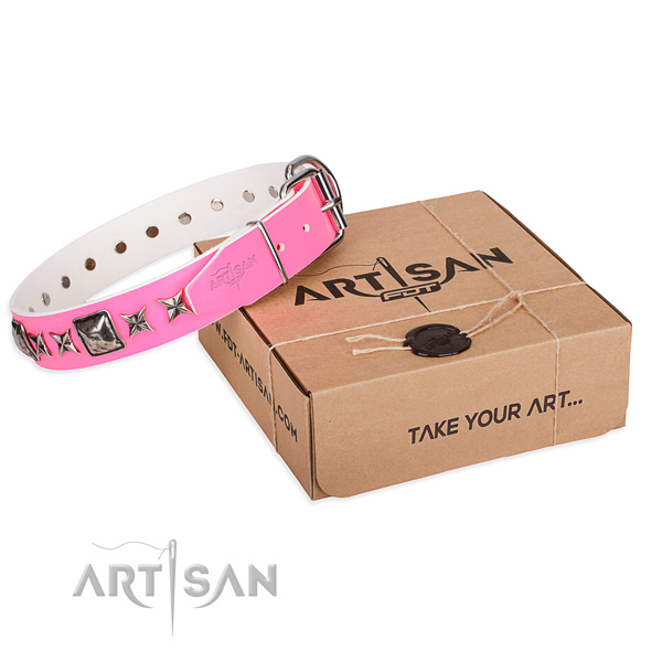Everyday use full grain natural leather dog collar with studs