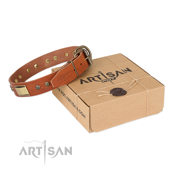 Convenient genuine leather collar for your stylish dog