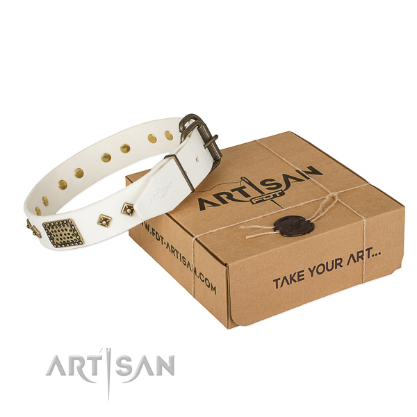 Significant full grain genuine leather collar for your attractive four-legged friend