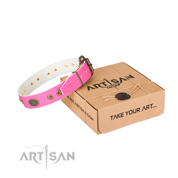 Durable embellishments on full grain genuine leather dog collar for your canine