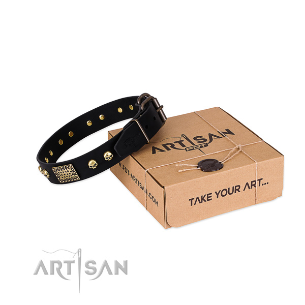 Strong buckle on dog collar for stylish walking