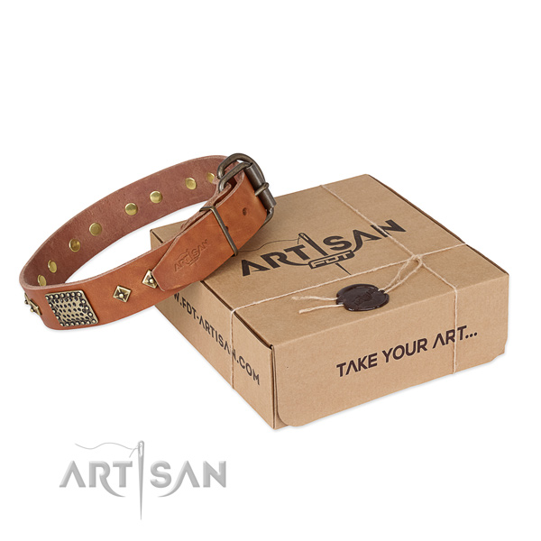 Designer leather collar for your lovely pet