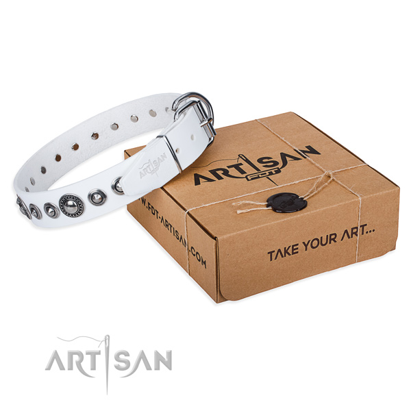 Leather dog collar made of soft material with strong fittings