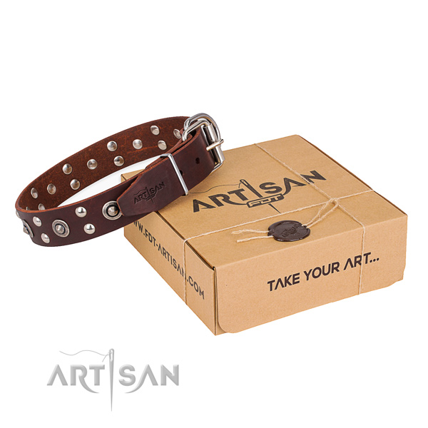 Everyday use dog collar with Significant strong adornments