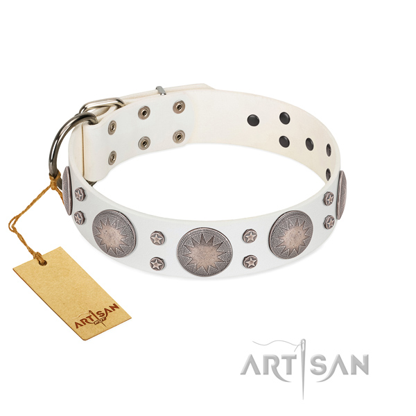 Comfy wearing embellished full grain leather dog collar