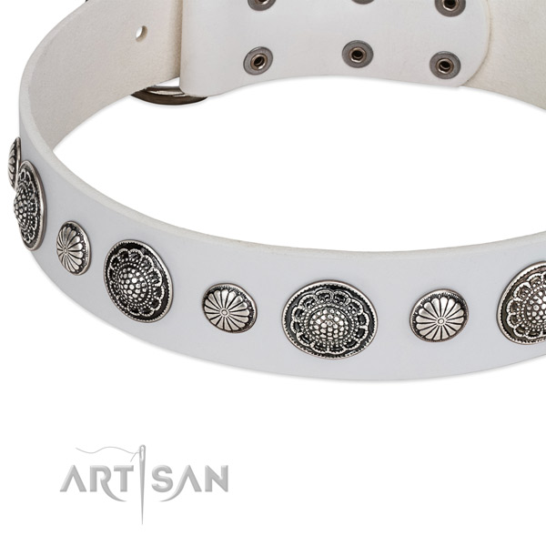 Leather collar with rust resistant fittings for your attractive four-legged friend