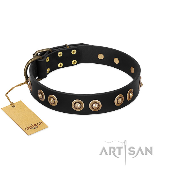 Rust resistant buckle on full grain leather dog collar for your dog