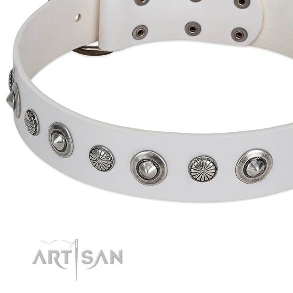 Natural leather collar with strong D-ring for your handsome pet