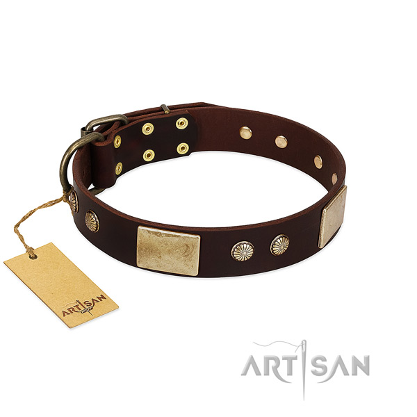 Adjustable genuine leather dog collar for daily walking your pet