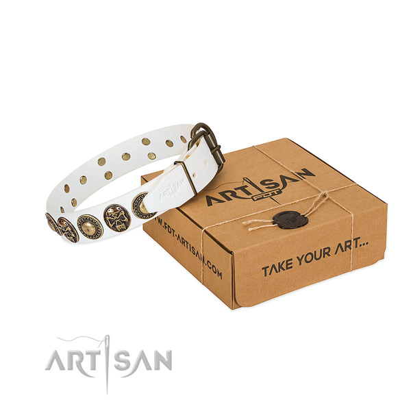 Corrosion resistant hardware on dog collar for stylish walking