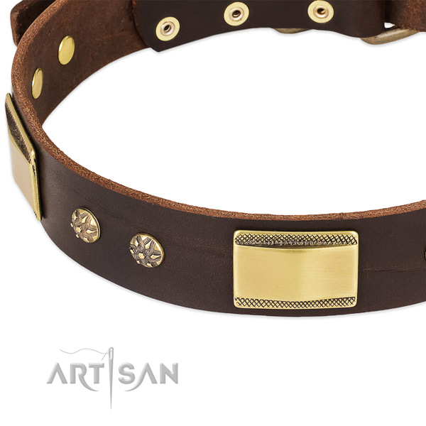Rust-proof studs on genuine leather dog collar for your dog