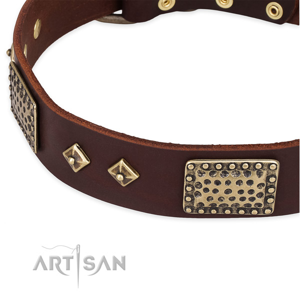 Corrosion resistant D-ring on genuine leather dog collar for your doggie