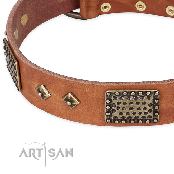 Rust resistant studs on natural leather dog collar for your dog