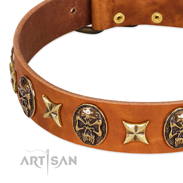 Rust-proof decorations on genuine leather dog collar for your dog