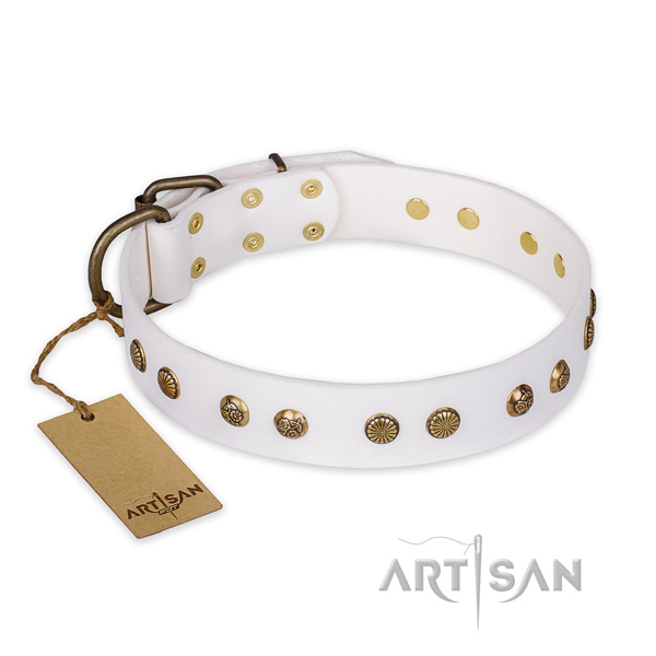 Significant full grain leather dog collar with corrosion resistant buckle