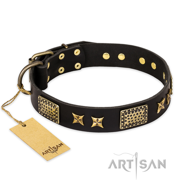Adorned full grain genuine leather dog collar with reliable hardware