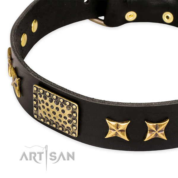 Full grain genuine leather collar with strong D-ring for your beautiful dog